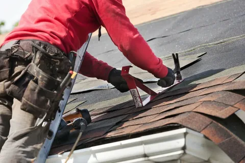 Roof Maintenance